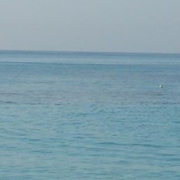 Meet your Posher, Susie - Picture 1 of 1